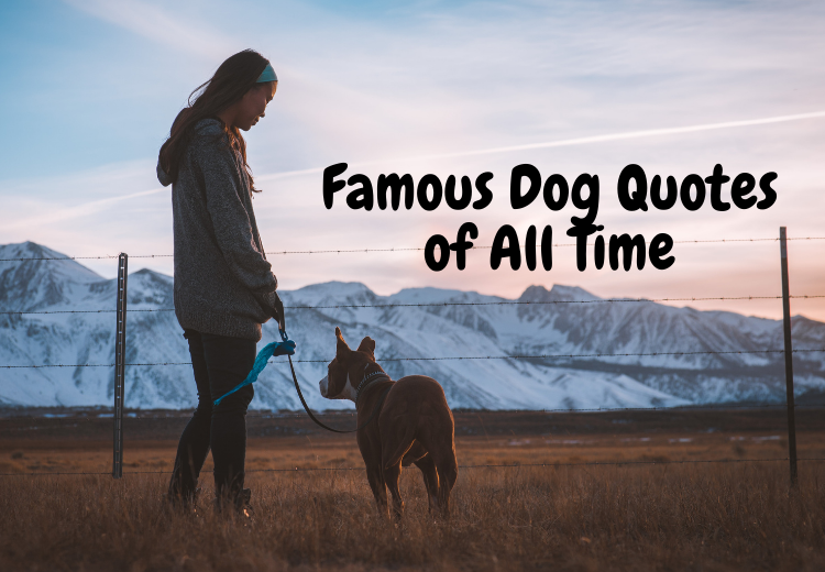Famous Dog Quotes of All Time